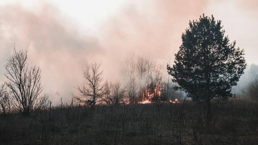 Crisis climática amenaza la vida de 41 millones de personas en Latinoamérica