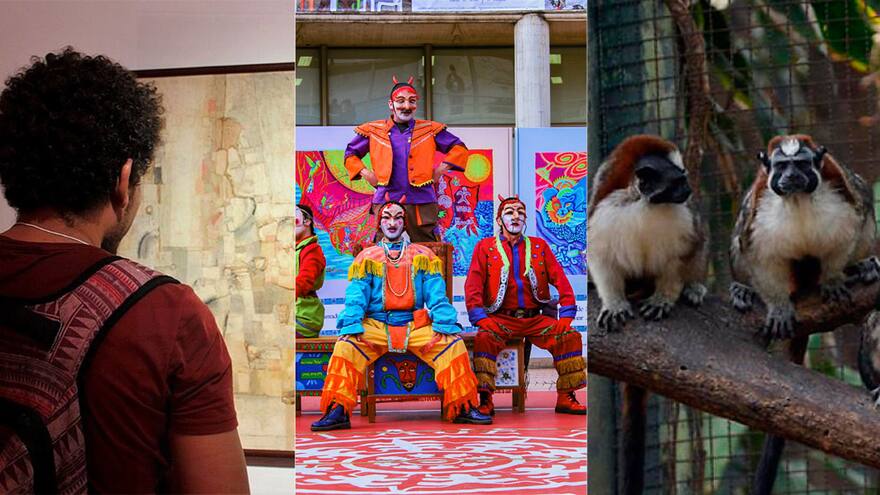 En la semana de receso también se aprende