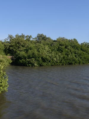 La CRA ha hecho la tarea mal