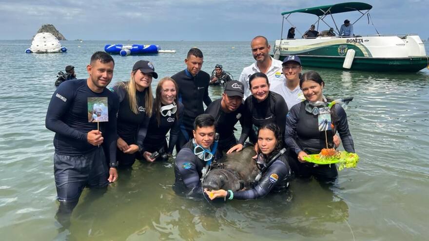 ‘Tasajerito’ celebró su primer año de vida en Ciénaga Grande de Santa Marta