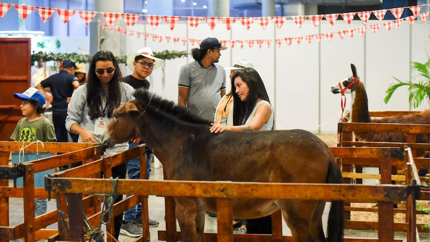 Más de 10 mil participantes durante los cinco días de Agoexpo Caribe