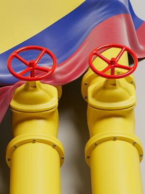 A propósito de un embeleco