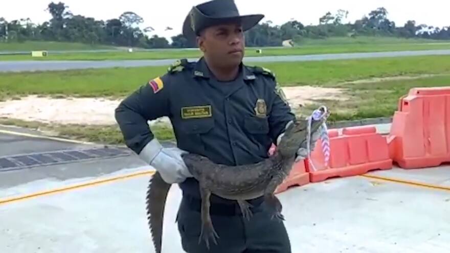 Babilla interrumpió operaciones del aeropuerto de Bucaramanga