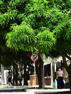 El calor en Barraquilla a 35ºC | Columna de Tita Cepeda