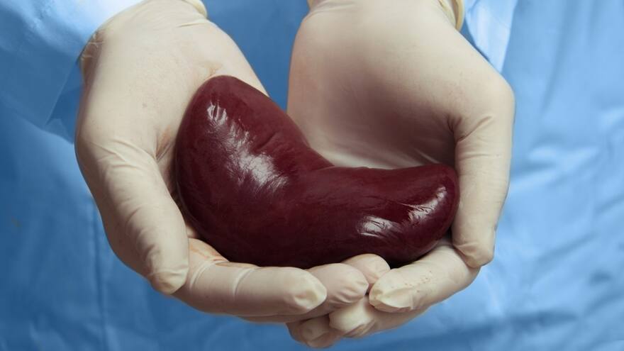 Así es vivir en lista de espera hasta recibir un trasplante