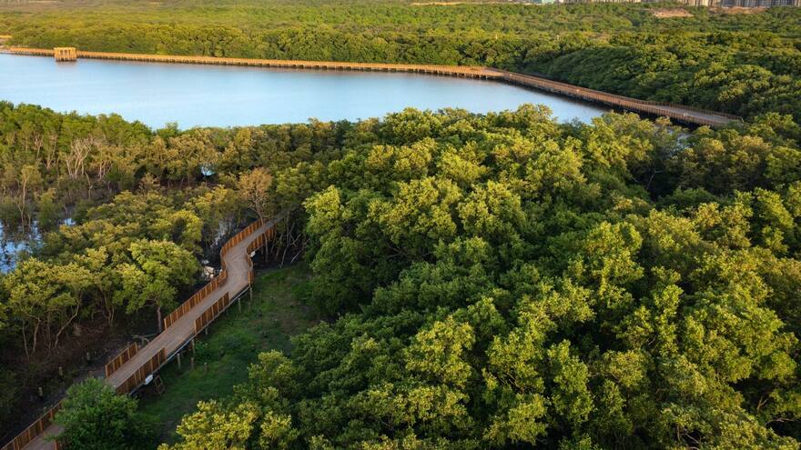 Gabriel Eisenband, el fotógrafo que enmarca los paisajes colombianos
