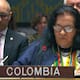 Colombia rechaza en el Consejo de Seguridad de la ONU ataques de Estados Unidos en Venezuela: “Sienta un grave precedente y viola el derecho internacional”