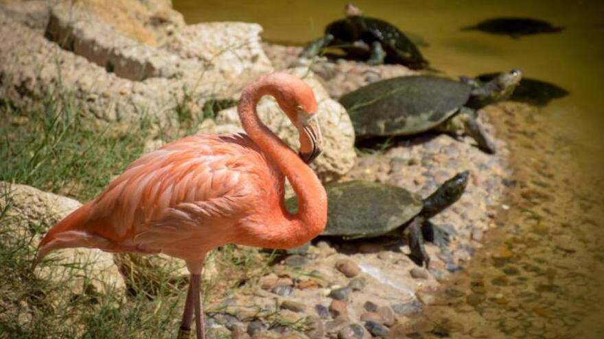 Ley de delitos ambientales que se penalizan en Colombia