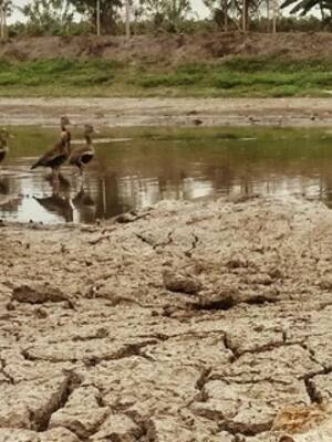 Repercusiones de un clima cambiante | Columna de Christian Euscátegui