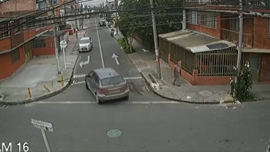 Conductor atropella a perro y escapa del lugar dejándolo mal herido