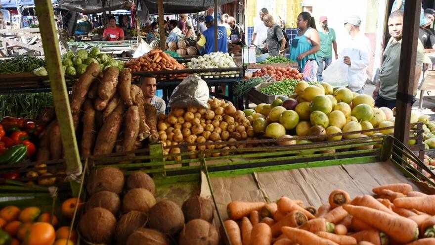 Precios de tubérculos y frutas caen entre 15 % y 32 %