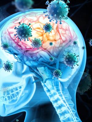 El cinturón de la meningitis