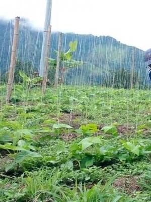 Columna de opinión de Simón Gaviria | Agricultura cara