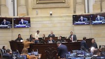 Las críticas de la Bancada Caribe al Presupuesto 2026 de Petro, en la recta final en el Senado de la República