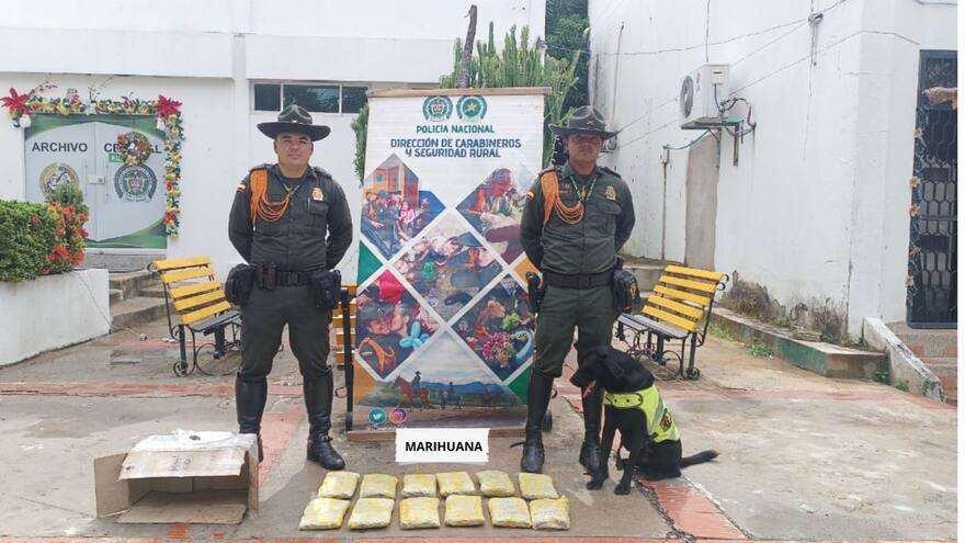 La Guajira: Perro descubrió marihuana oculta en bodega de empresa transportadora de mercancía