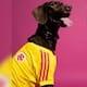 Adidas lanzó camiseta de la Selección Colombia para mascotas: precio y fecha de venta