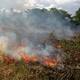 Incendios forestales en Colombia: más de 16.500 hectáreas han sido consumidas