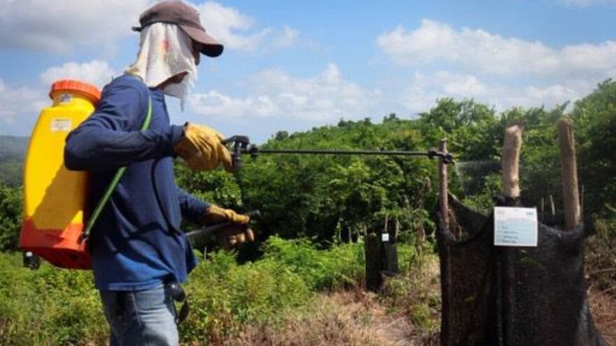 Triple A ha sembrado 11 mil árboles en Galapa y Tubará