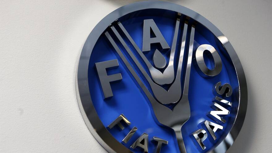 La FAO asesora a países latinoamericanos para que puedan anticiparse a amenazas climáticas