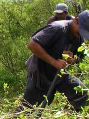 Un colapso anunciado