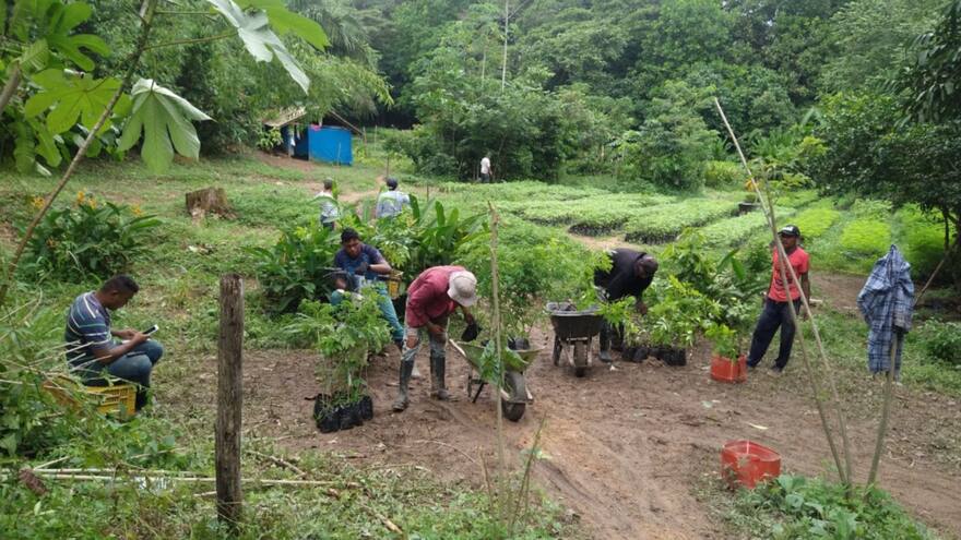 Implementan proyecto Promesa Climática en Mingueo