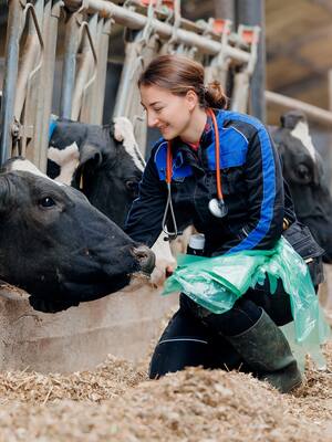 Compromisos ganaderos 2025