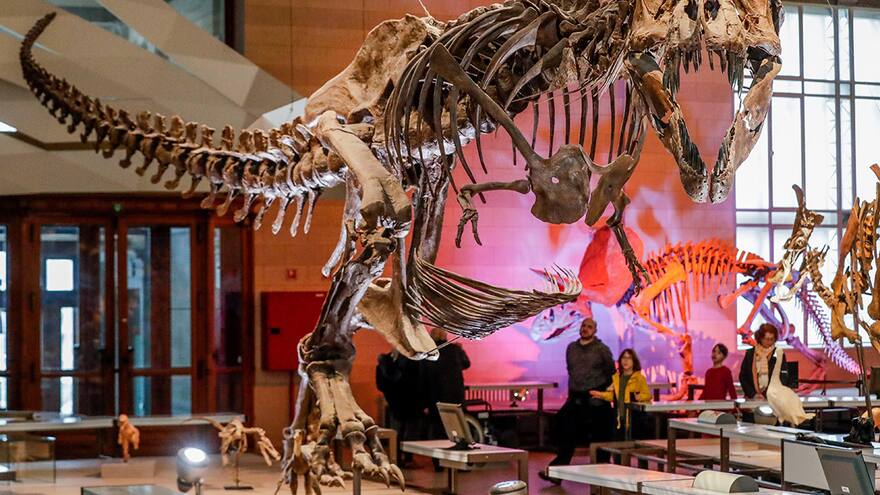 Más de 2.500 millones de Tiranosaurios rondaron la Tierra