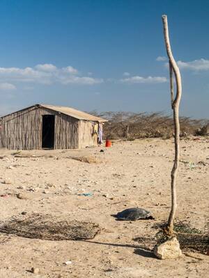 Aniversario esperanzador | Columna de Hernán Baquero Bracho