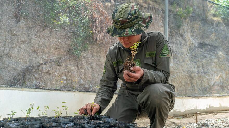 Los 19 beneficios de prestar el servicio militar, según el Ejército Nacional