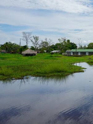 Medio ambiente sin dientes