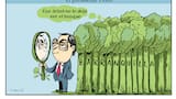 El mundo de Turcios