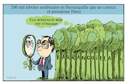 El mundo de Turcios