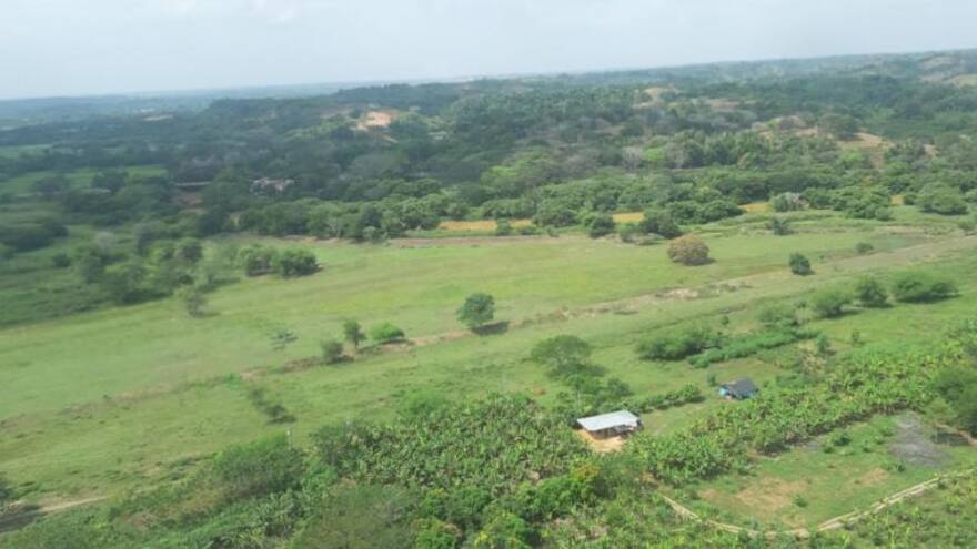 Menor indígena de 9 años murió tras ser mordido por una serpiente en Antioquia