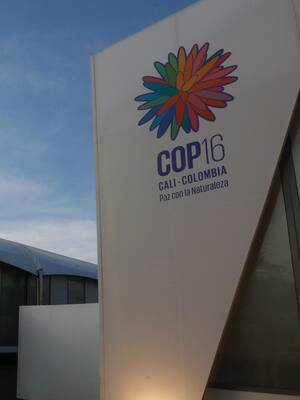 Cumbre de contrastes