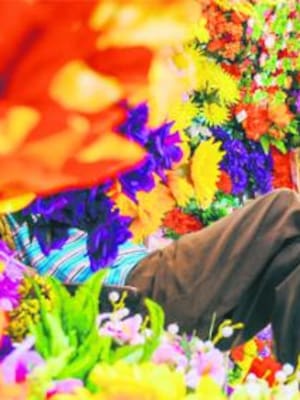 Lo floral y lo humano