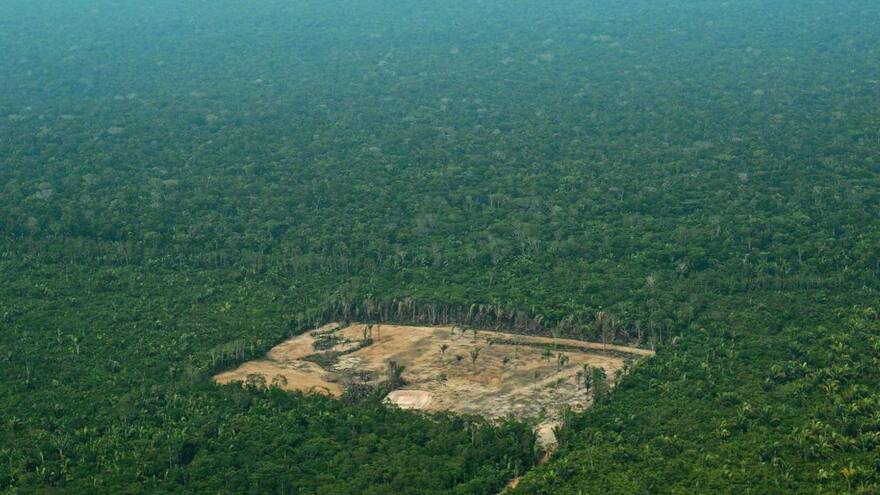 Zara y otras marcas contribuyen a la deforestación del Amazonas