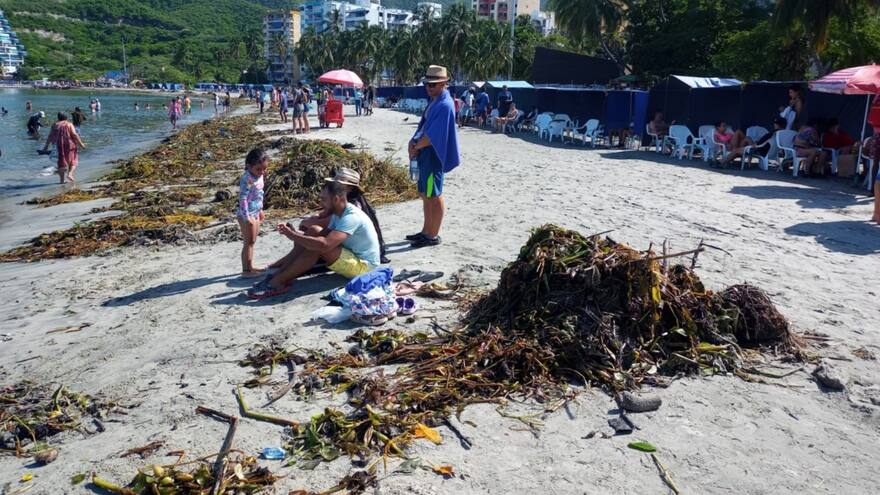 Santa Marta: playa de El Rodadero fue invadida por praderas de fondo marino