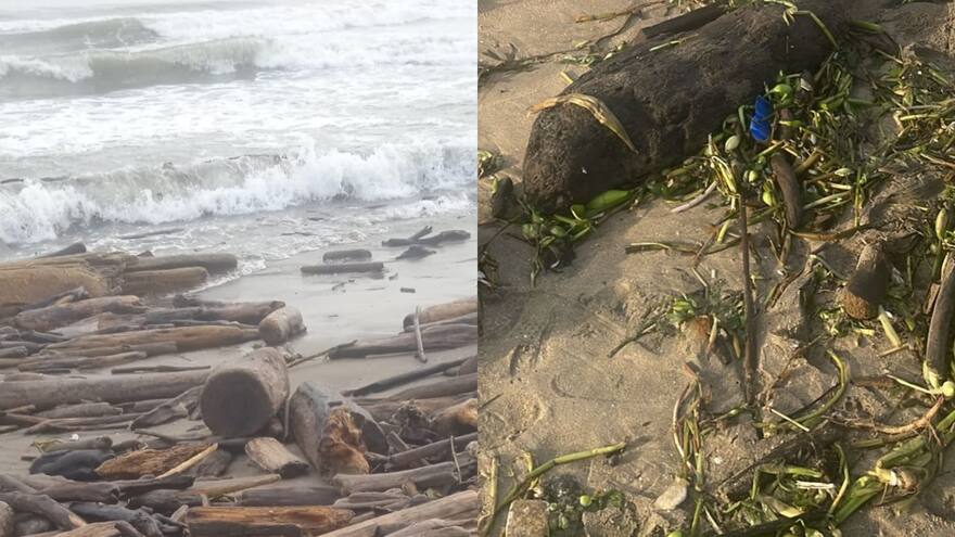 Alerta por aparición de cadáveres en playas de Puerto Colombia