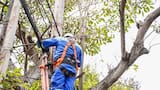 Este miércoles habrá cortes de luz en sectores de Barranquilla y Galapa por mantenimiento