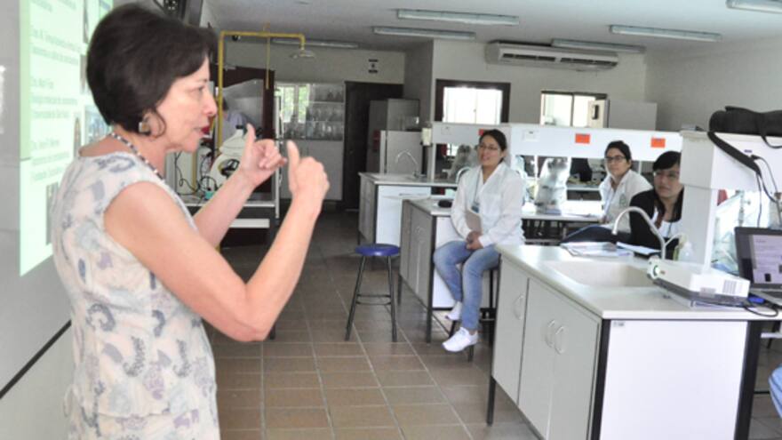 Científicos estudian las algas que matan peces en Ciénaga Grande