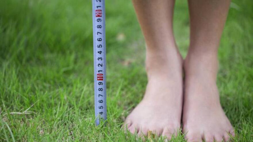 Hombres bajos de estatura tienen tendencia a la tríada oscura: psicopatía, el narcisismo y el maquiavelismo, según estudio