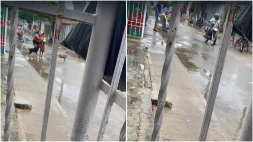 Bebé de ocho meses y dos adultos resultan heridos tras ataque a bala en Las Malvinas