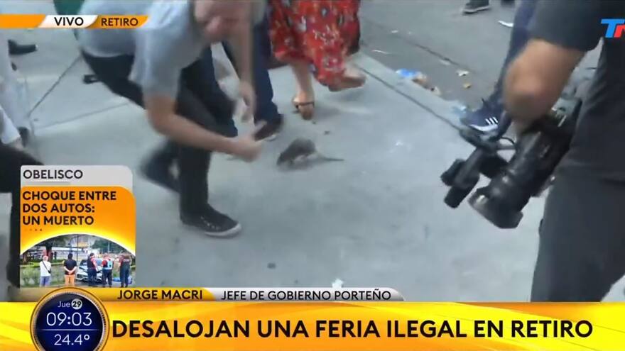 Video del momento en que una rata interrumpe declaraciones del alcalde de Buenos Aires, Jorge Macri