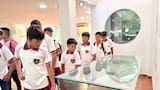 Más de 500 niños de Sucre descubrieron el legado Zenú en el Museo Arqueológico