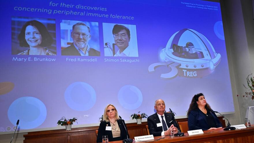 Nobel de Medicina, esperanza en casos de autoinmunidad