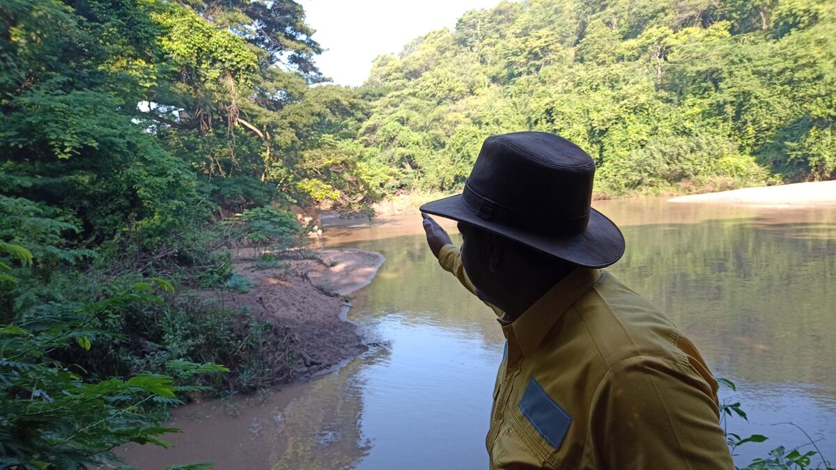 El río Ranchería, lleno de vida, irriga las comunidades wayuu ...