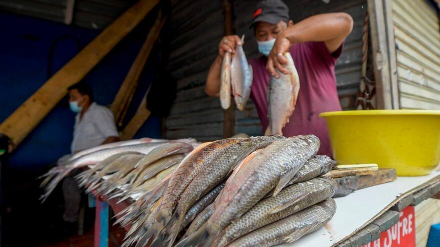 Se puede comprar pescado en Semana Santa, su precio no subió