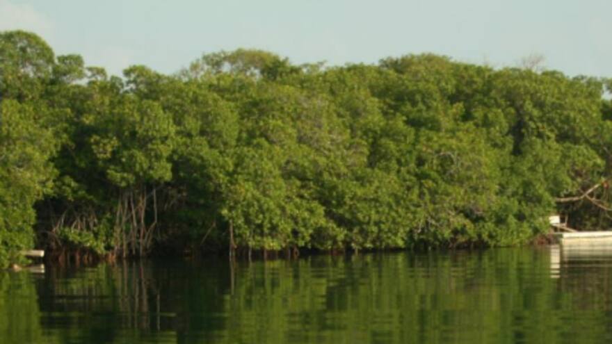 Colombia adopta el Marco de Referencia para la Emisión de Bonos Verdes