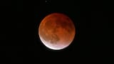 ¿El próximo eclipse lunar se podrá ver desde Colombia? Prográmese para la segunda ‘Luna de sangre’ del año