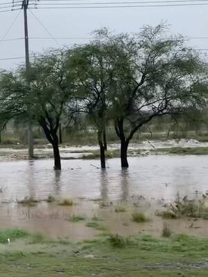 Las incertidumbres agroclimáticas